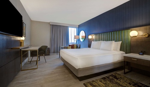Suite Studio, 1 très grand lit (Roll-In Shower, Mobility/Hearing)