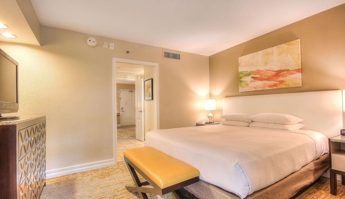 Chambre, 1 très grand lit, accessible aux personnes à mobilité réduite (Agave, Roll-in Shower)