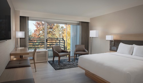 Chambre Standard, 1 très grand lit
