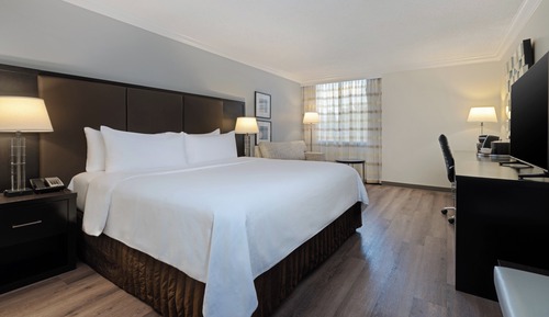 Chambre Standard, 1 très grand lit