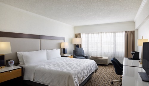 Chambre Premium, 1 très grand lit