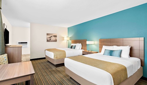 Chambre Standard, 1 grand lit, non-fumeurs, réfrigérateur et four à micro-ondes