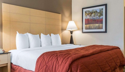 Chambre Standard, 1 très grand lit et 1 canapé-lit, non-fumeurs