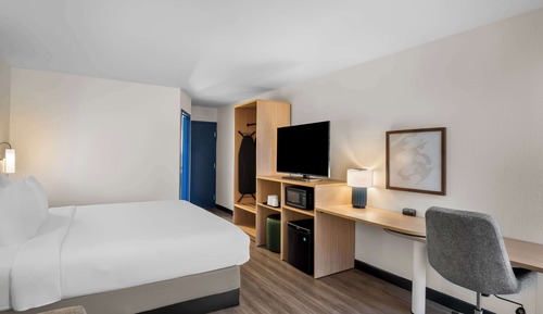Chambre, 1 très grand lit et 1 canapé-lit (Mobility & Roll-in Shower)