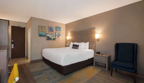 Chambre Standard, 1 très grand lit, non-fumeurs, réfrigérateur et four à micro-ondes