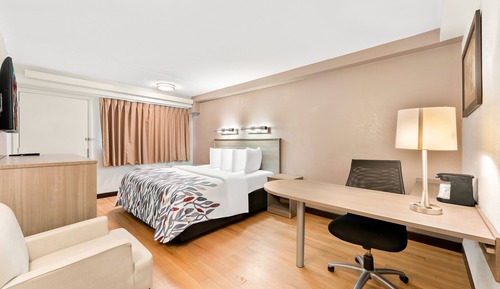 Chambre Supérieure, 1 très grand lit (Smoke Free)