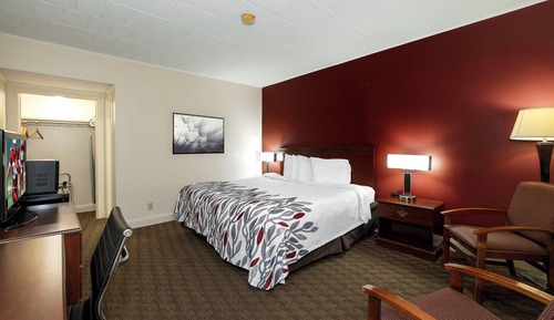 Chambre Deluxe, 1 grand lit, non-fumeurs