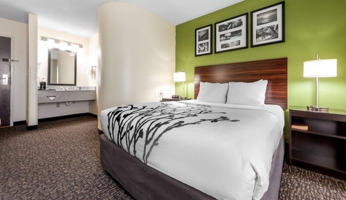 Chambre Standard, 1 grand lit, non-fumeurs
