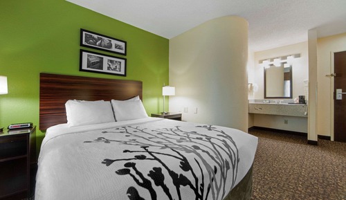 Chambre Standard, 2 grands lits