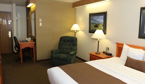 Chambre Standard, 1 très grand lit, non-fumeurs, réfrigérateur et four à micro-ondes