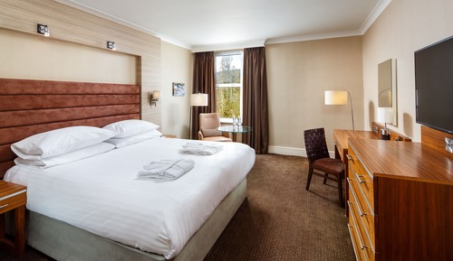 Chambre Supérieure, 1 très grand lit, non-fumeurs, vue jardin