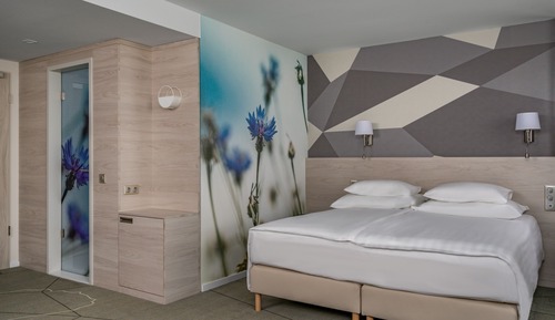 Junior Suite with Wellness and Fitness Access