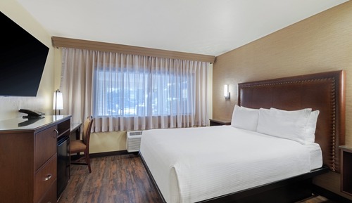 Chambre Standard, 1 grand lit