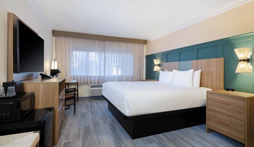 Chambre Standard, 1 très grand lit