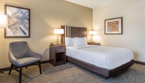Chambre, 1 grand lit, accessible aux personnes à mobilité réduite, non-fumeurs (Hearing Accessible)