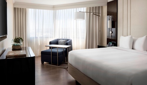 Suite Exécutive, 1 très grand lit et 1 canapé-lit