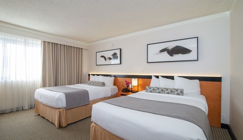 Chambre Supérieure, 2 lits doubles (Superior Room with 2 Double Beds)