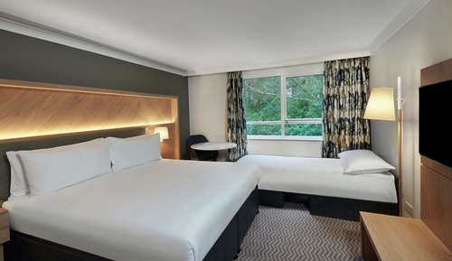 Chambre Deluxe, 1 très grand lit (with 1 Sofa Bed)