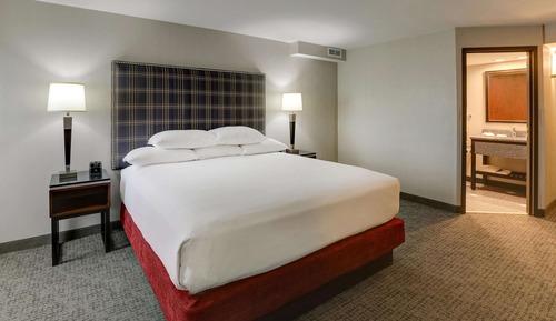 Chambre Deluxe, 1 très grand lit, réfrigérateur et four à micro-ondes (Oversized Room)
