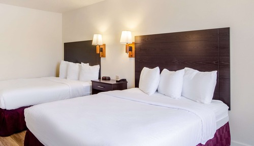 Chambre, 2 grands lits, non-fumeurs, coin cuisine