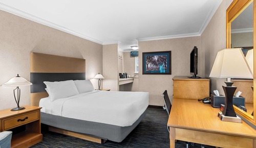 Chambre Standard, 1 grand lit, accessible aux personnes à mobilité réduite, non-fumeurs