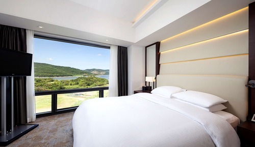 Suite Premium, 1 très grand lit (Residential)