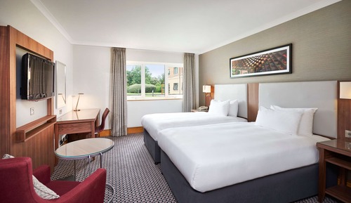 Chambre Deluxe avec lits jumeaux