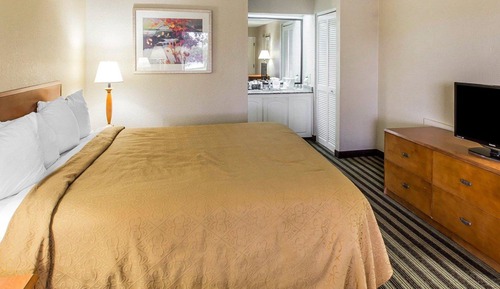 Chambre Standard, 1 très grand lit, non-fumeurs