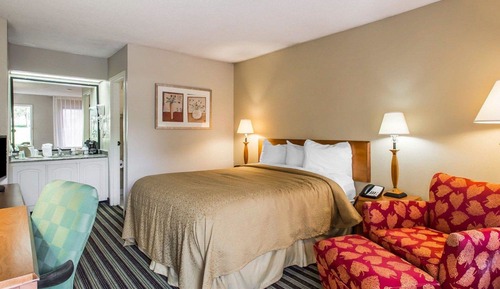 Chambre, 1 grand lit, réfrigérateur et four à micro-ondes
