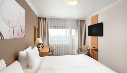 Chambre Double Supérieure, 1 très grand lit
