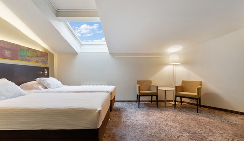 Chambre Confort (Skylight)