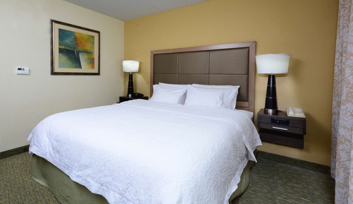 Chambre, 1 très grand lit, accessible aux personnes à mobilité réduite, non-fumeurs (Roll-In Shower)