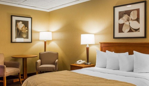 Chambre Standard, 1 grand lit, non-fumeurs