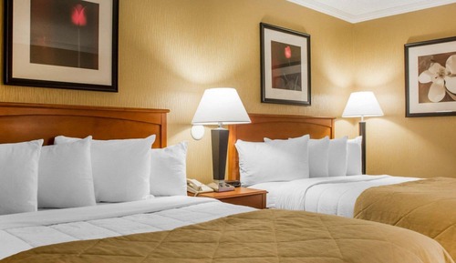 Chambre Standard, 2 grands lits, non-fumeurs (Pet Friendly)