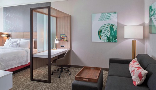 Suite, 1 très grand lit et 1 canapé-lit (Mobility/Hearing Access, Roll-In Shwr)