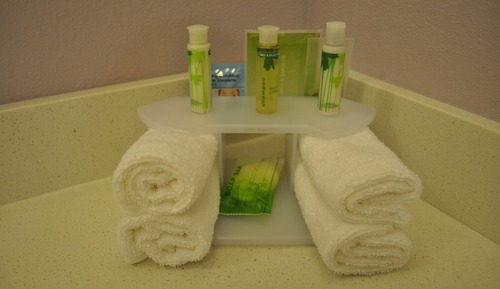Suite, accessible aux personnes à mobilité réduite (Hearing, Roll-In Shower)