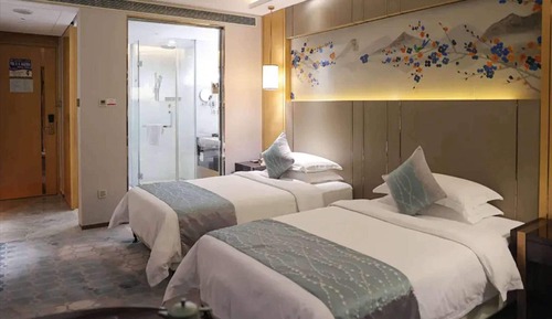 Chambre Deluxe, 2 lits une place