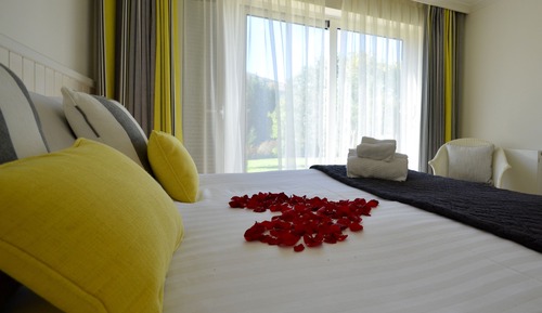 Chambre Deluxe Double ou avec lits jumeaux, vue fleuve, dans les dépendances