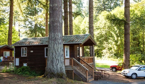 Cabane, coin cuisine (Linens Not Included, Pets Allowed)