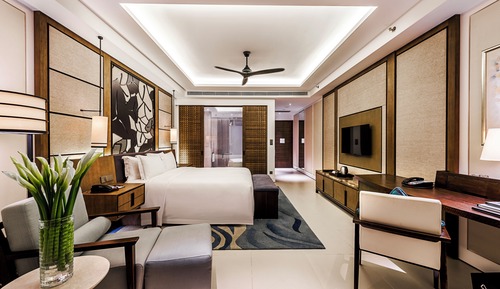 Chambre, 1 très grand lit (Hilton King Room)