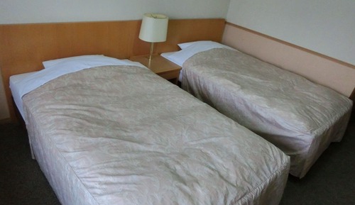Chambre avec lits jumeaux, non-fumeurs (Mt. Fuji View)