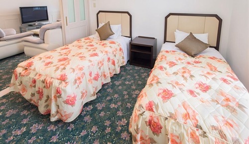 Chambre Standard avec lits jumeaux, fumeurs