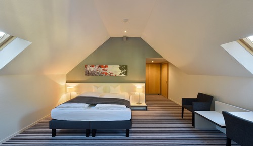 Suite Premium, vue partielle sur le lac