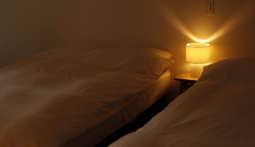 Chambre avec lits jumeaux, vue jardin ( 2F )