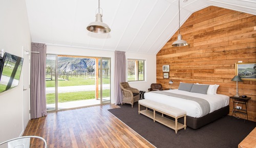 Studio Standard, vue vignoble