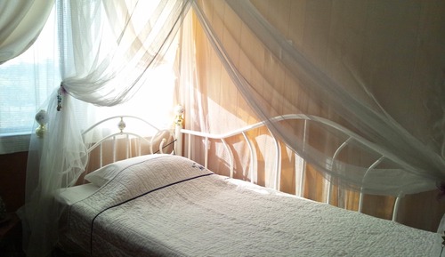 Chambre Simple Confort, 1 chambre, non-fumeurs