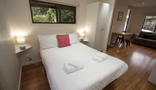 Chambre Standard, non-fumeurs, cuisine (Budget Cabin)