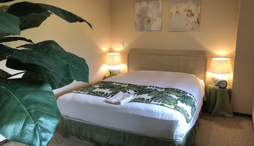 Chambre Double Standard (Tropical Style)