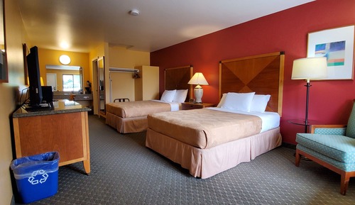 Chambre Supérieure, 2 lits doubles (Two Double Pet Friendly)