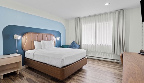 Chambre Standard, 1 grand lit (No Pets, No View)